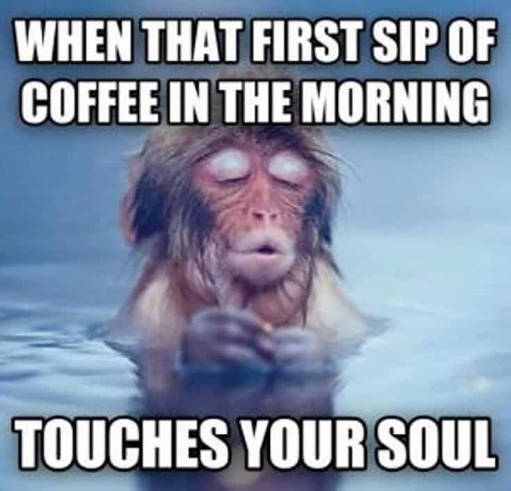 Coffee Addicts Unite - Funny Good Morning Meme coffee