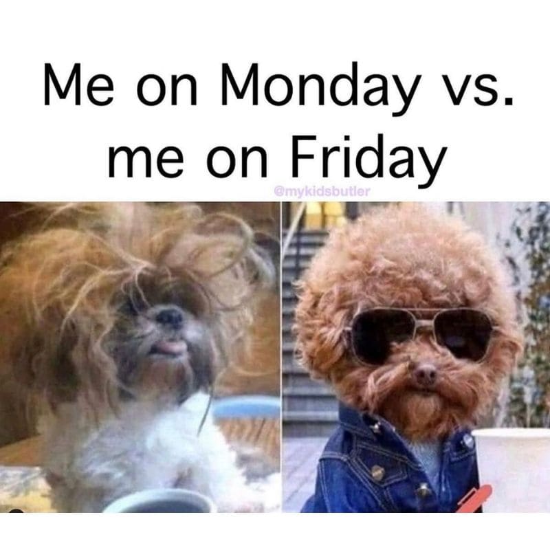 Weekend Meme Vibes - Me on Friday Meme