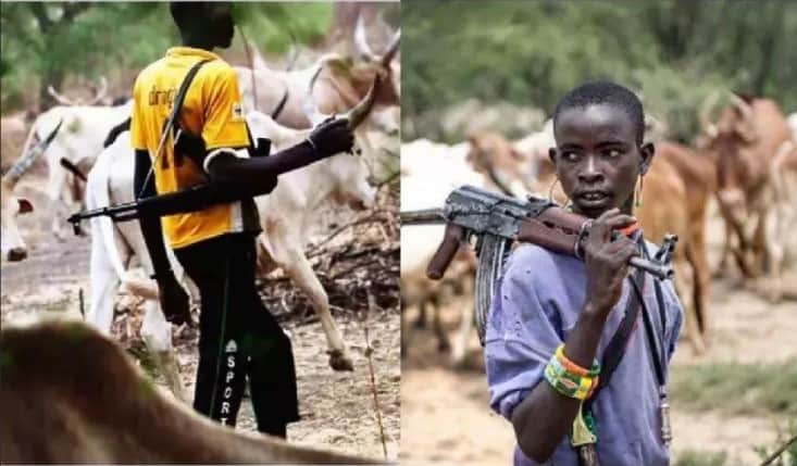 BREAKING: At Least 28 Killed As Suspected Fulani Herdsmen Attack Benue Community