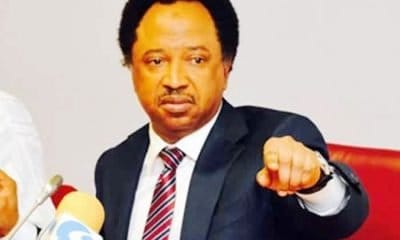 It's Left For Tinubu To Allow Him - Shehu Sani Identifies Politician Trying To Cause Crisis In Nigeria