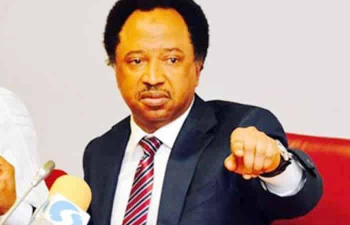 It's Left For Tinubu To Allow Him - Shehu Sani Identifies Politician Trying To Cause Crisis In Nigeria