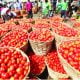 Nigerians Lament As Price Of Tomato Basket Increases To ₦150,000