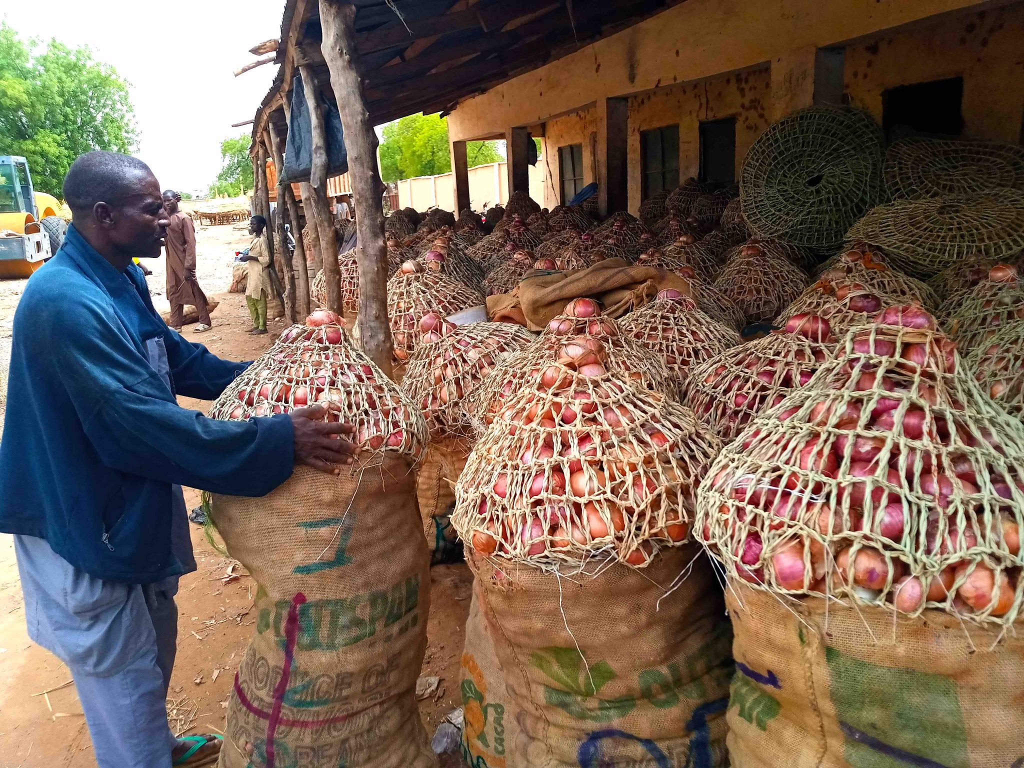 Price Of Onion In Nigeria Soars By 200% Ahead Of Christmas, New Year ...