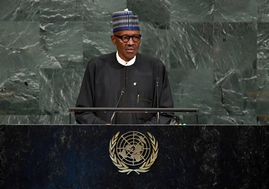 UNGA: Nigeria Has Recorded More Success In Fighting Terrorism - Buhari