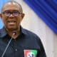 Labour Party State Chairmen Speak On Suspending Peter Obi From The Party