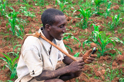 A farmer getting information on weeding timing based on Package of practice (PoP) of the out-growers project.