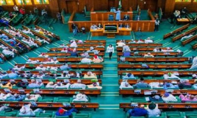 Nigerian Lawmakers Earn ₦600,000 Per Month - House Of Reps Spokesperson