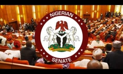 Failure Of Intelligence Led To Suicide Bombing In Borno - Senate