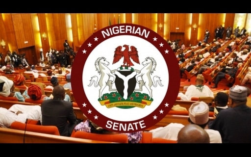 Full List: Senators That Have Not Sponsored Any Bill After One Year Of Being In The 10th National Assembly
