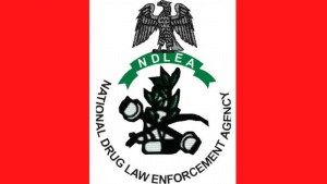 NDLEA Arrests 29-Year-old Graduate For Importing ₦3.192bn Worth Of Heroin