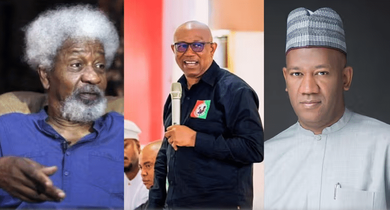 'Intellect Doesn't Give You The Right To Insult Anybody' - Baba-Ahmed Fires Soyinka Over Comment On Peter Obi