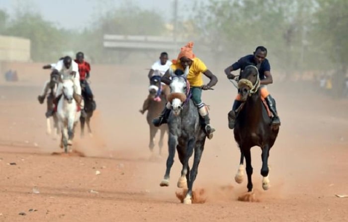 President Tinubu’s Horse Wins Horse Racing Tournament In Niger