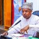 Children Suffer Poverty More Than Adults - Bagudu