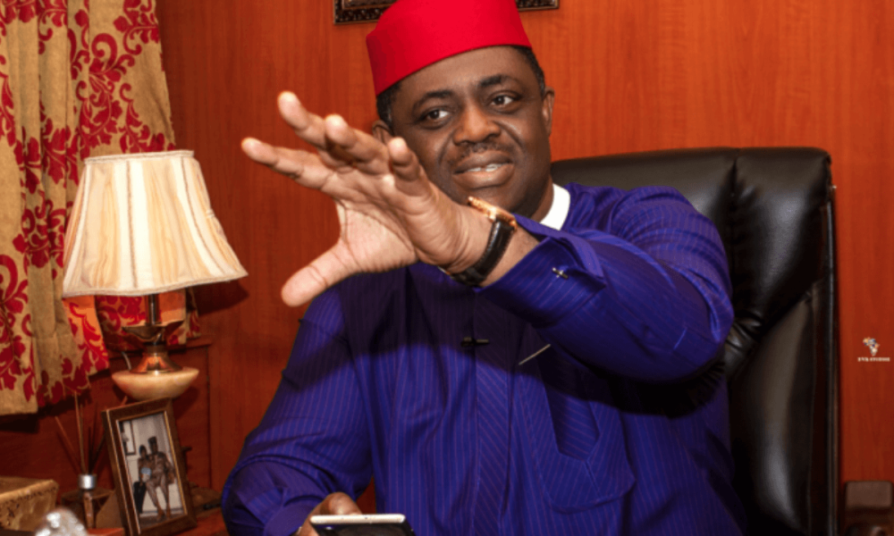 Nothing Is Wrong With Protest – Fani-Kayode