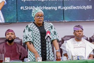 Lagos House Of Assembly Holds Public Hearing On Electricity Bill