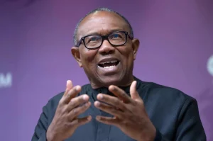 Foreign Intervention Isn't Our Problem, We're Not Being Exploited - Obi