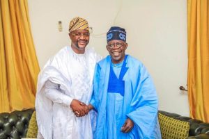 Tinubu's ₦1 Trillion Support For Households Must Be Saluted - Sunday Dare