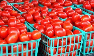 Garri, Tomatoes, Other Food Prices Rose By 55% Between May And June - NBS