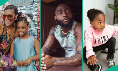 IPOB's Lawyer Gives Legal Counsel To Davido On Imade, Sophia