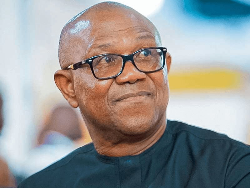 Learn From Canada Prime Minister – Peter Obi To Tinubu, State Governors