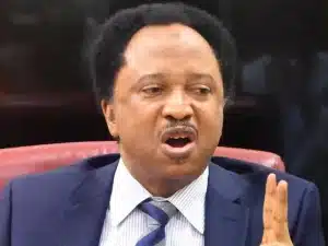 Avert University Workers Strike Notice - Shehu Sani To FG