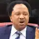 Avert University Workers Strike Notice - Shehu Sani To FG