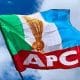 We Will Participate In Enugu Council Election - APC