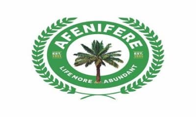 Akande: Afenifere Can Never Die, Some People Like Tinubu Pretended To Join Us But Later Betrayed Us - Faloye