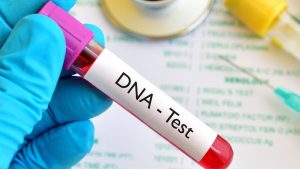 Negative Paternity Tests High: Yoruba Leads, Igbo, Hausa Follow In Test Trends - DNA Report