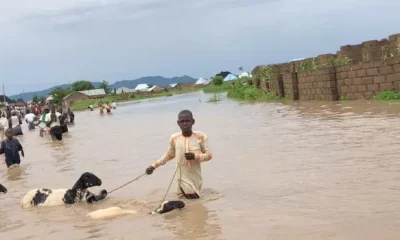 Residents Flee As Floods Sacks Ten Communities In Kebbi