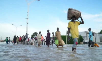 Flood Victims: Trauma, Nutrition Crises - Experts Proffer Solutions