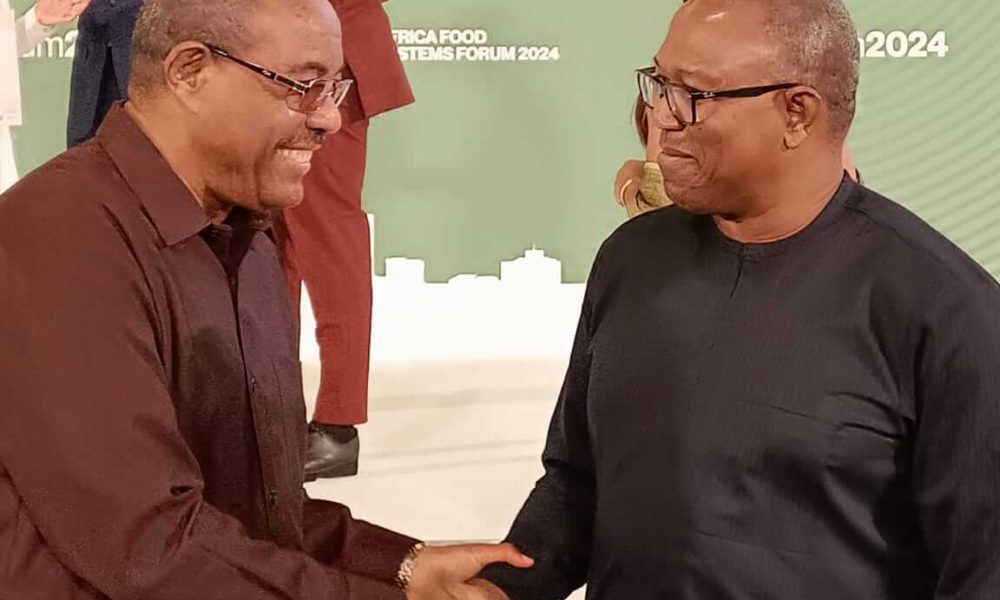 Solving Food Insecurity Is Major Path To General Security - Peter Obi