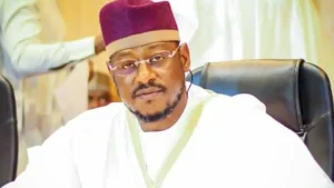 Village Head Collected ₦700,000, Allowed Bandits To Kill 30 Residents - Gov Radda