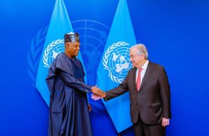 Disaster Relief, Security, ECOWAS Top Agenda As Shettima Meets UN Sec-Gen