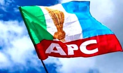 Opposition Parties Lack APC's Qualities In 2015 - Okonkwo