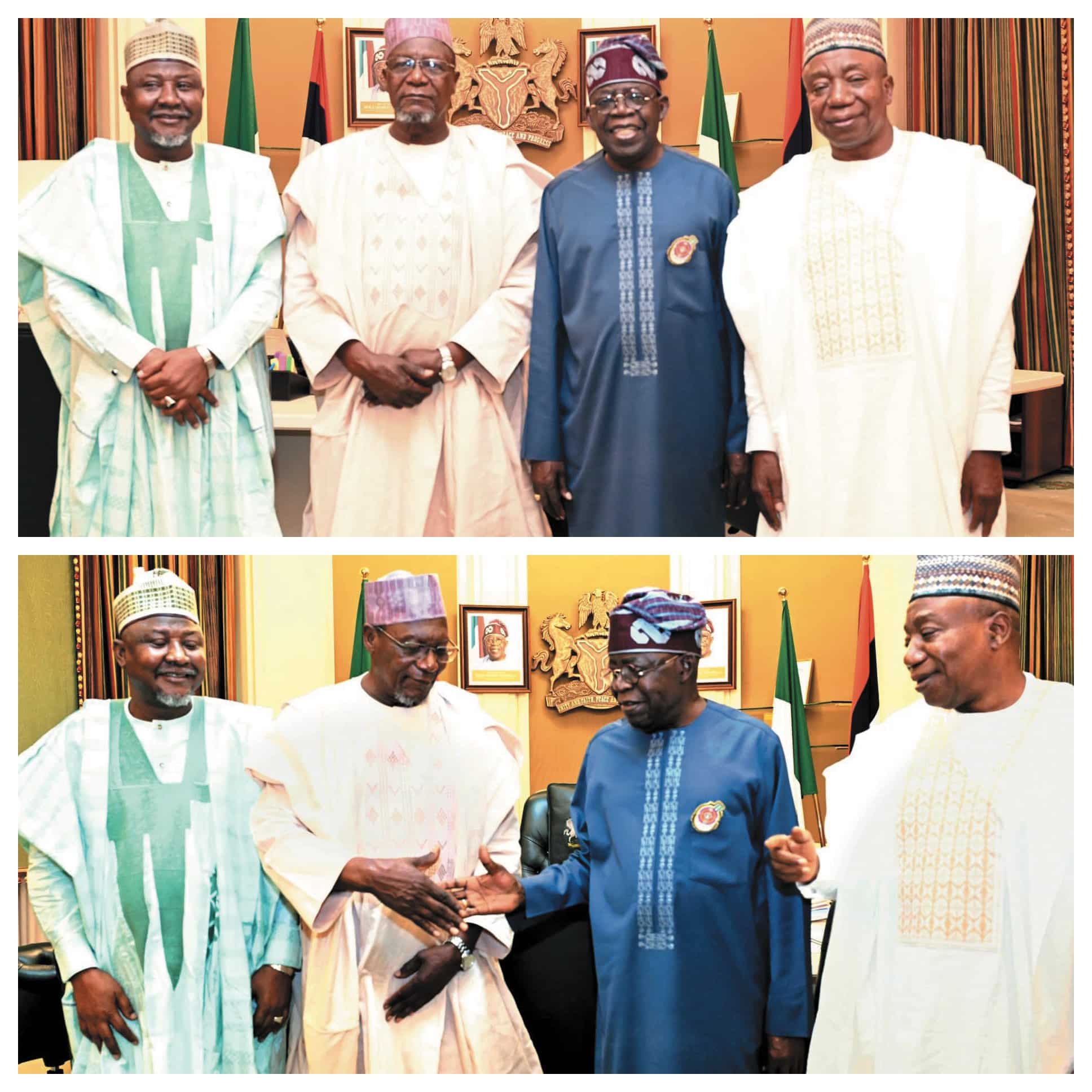 Tinubu-and-Senators.jpg