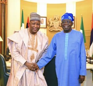 The Reason Tinubu Gave For Sacking Me Is Not Valid - Former Minister