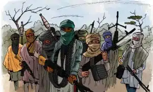 Lakurawa Terrorists: How Kebbi, Sokoto Residents 'Invited The Devil For A Dinner'