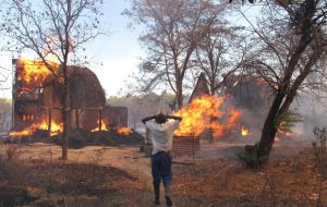 Bandits Invade Farms In Kaduna, Set Over 200 Bags Of Harvested Maize Ablaze