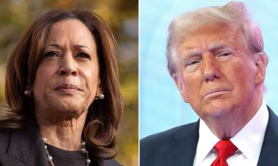 Just In: Kamala Harris Calls Trump, Concedes Defeat In US Presidential Election