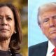 Just In: Kamala Harris Calls Trump, Concedes Defeat In US Presidential Election