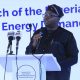 Nigeria Seeks Egypt's Help To Address Power Crisis