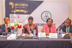 FG Working To Remover Barriers To Business - Dele Alake