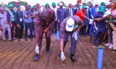 FG Launches Dry Season Farming In Cross River