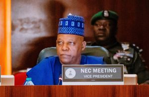 NEC Moves To End Grid Collapse, Sets Up Committee On National Electrification