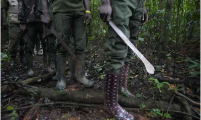 621 Arrested Over Alleged Criminal Activities In Forests, National Parks