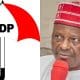 'We Will Give You The Opportunity' - PDP Woo Kwankwaso Back To Opposition Camp