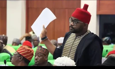 PDP LG Chairmen In Imo Pass Vote Confidence On Ugochinyere