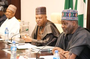 Our People Need Leadership, Posterity Will Judge Us - Shettima