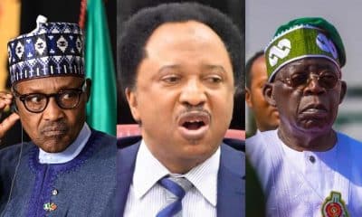 Muhammadu Buhari, Shehu Sani, Bola Tinubu